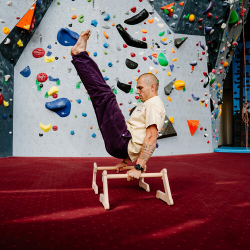 Calisthenics